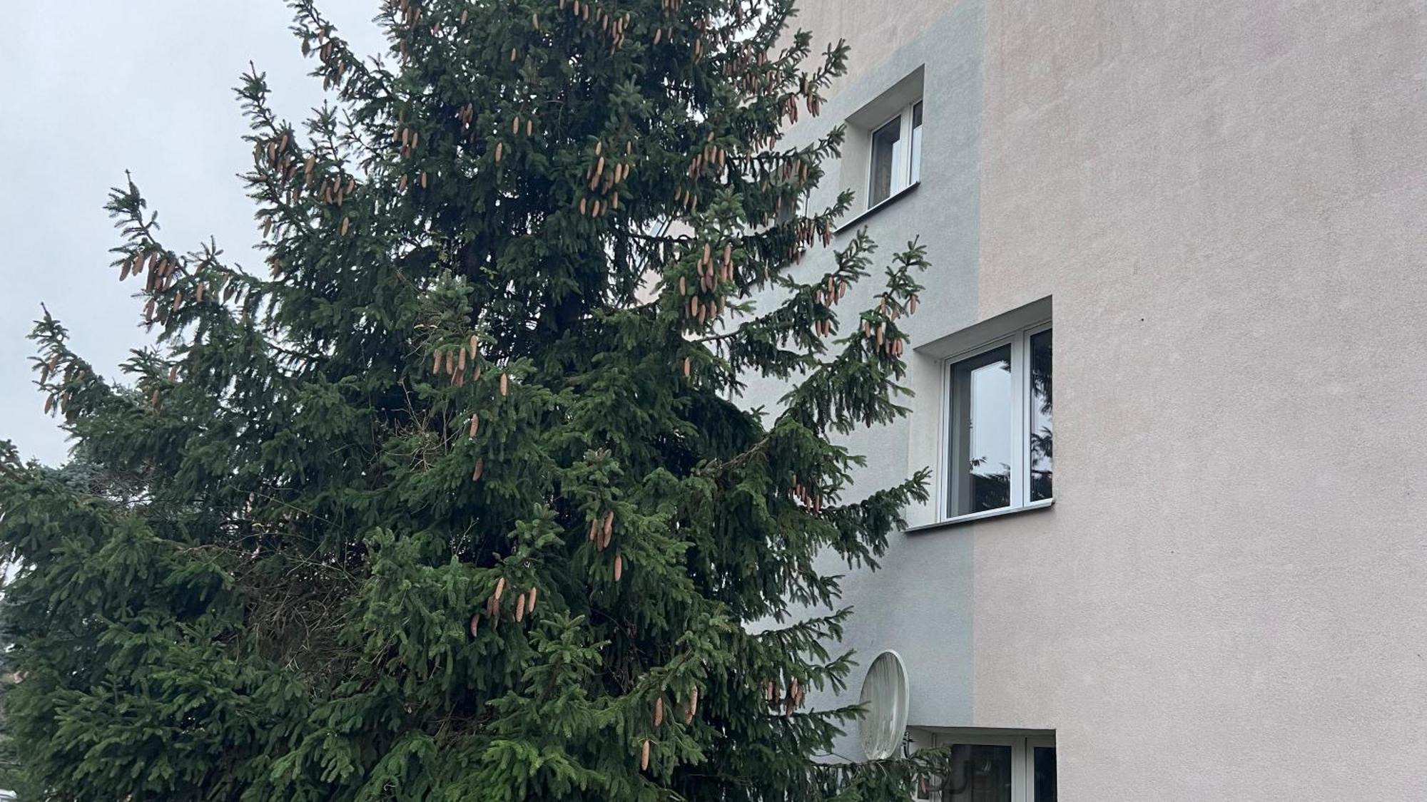 Apartament Niebianskie Pogodno Stettino Esterno foto